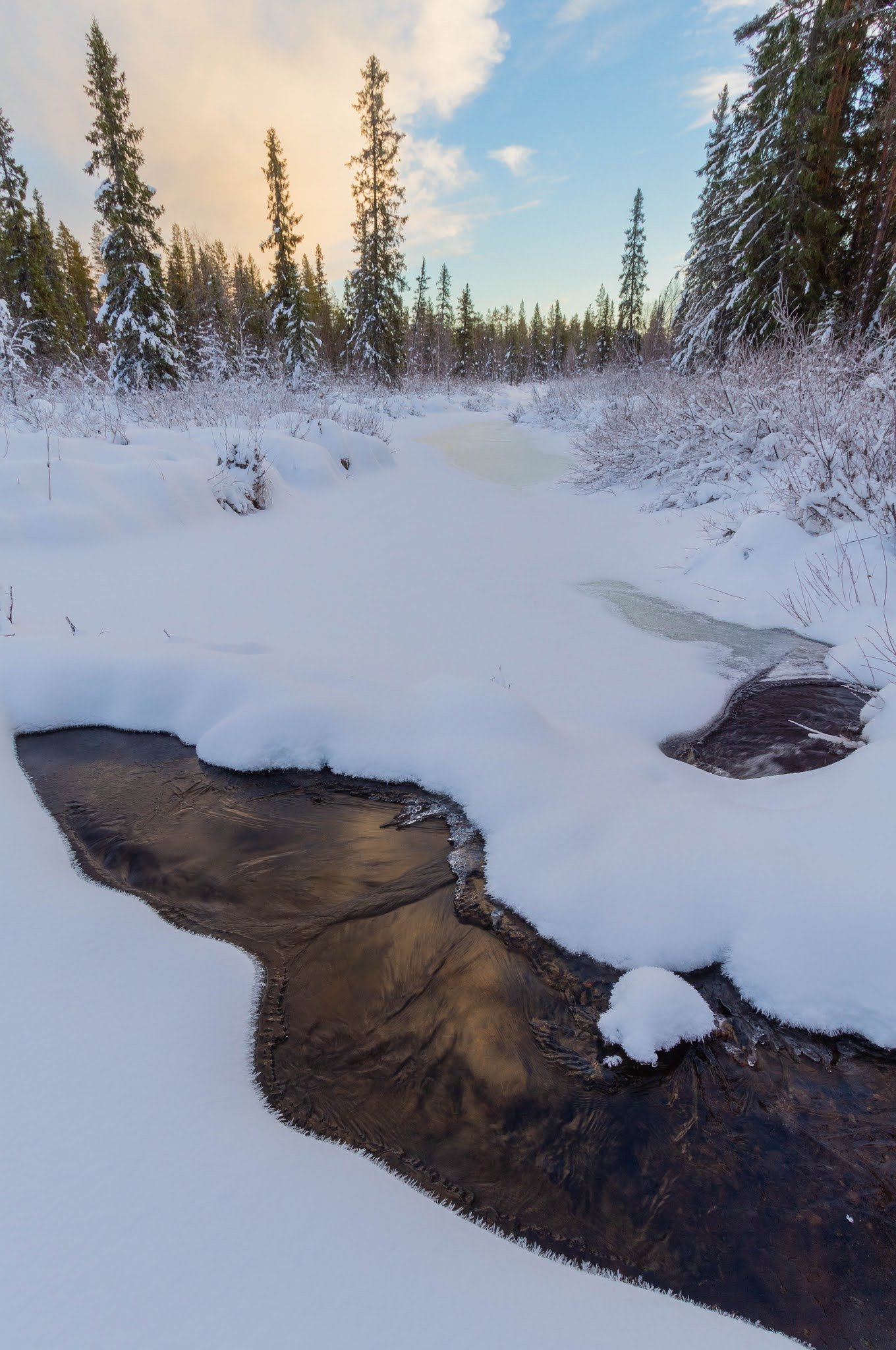 Malmån (Malmån Nature Reserve)